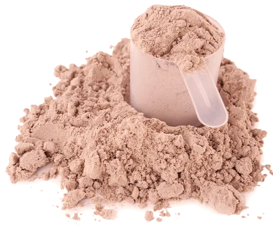 Protein Powder Scoop